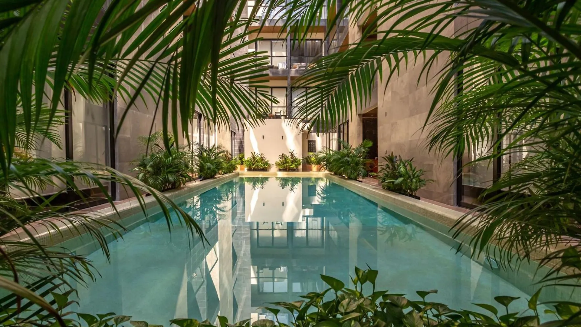 Hermoso Departamento Paraiso Tropical En El Corazon De Pdc بلايا ديل كارمن